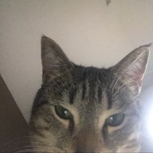 Meet your Posher, Blake